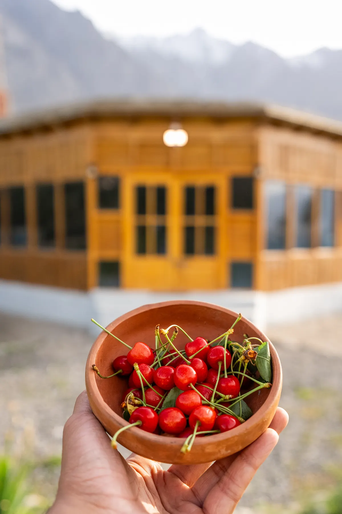 A clay bowl of cherries held in front of the lodge
